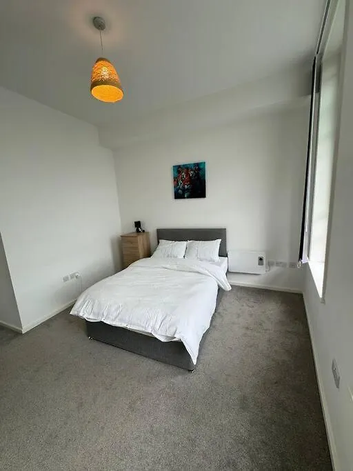 Spacious Flat In Sheffield City Center Gs304